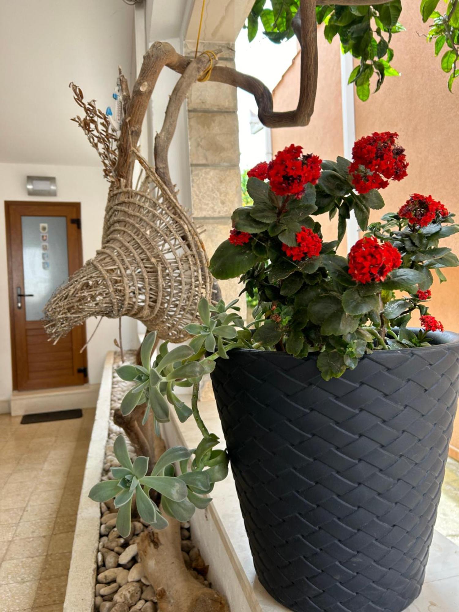 Bolero Guest House Lovište Esterno foto